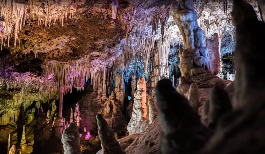 Mallorca: Day Trip to Caves of Hams & Optional Dinosaurland - Key points to know before booking