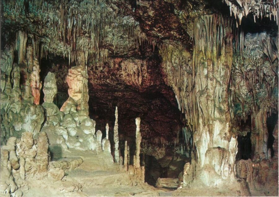 Mallorca: Day Trip to Caves of Hams & Optional Dinosaurland - Adding Dinosaurland on Thursday