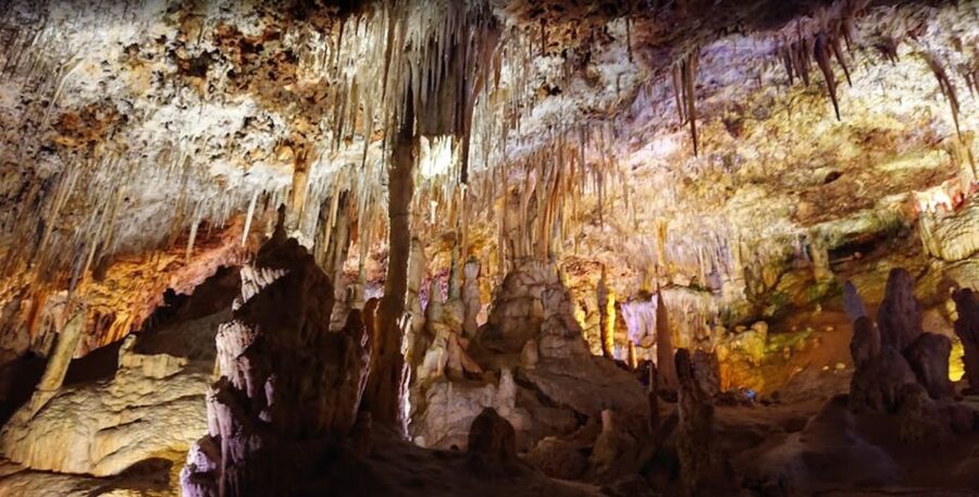 Mallorca: Day Trip to Caves of Hams & Optional Dinosaurland - Who will enjoy this day most?