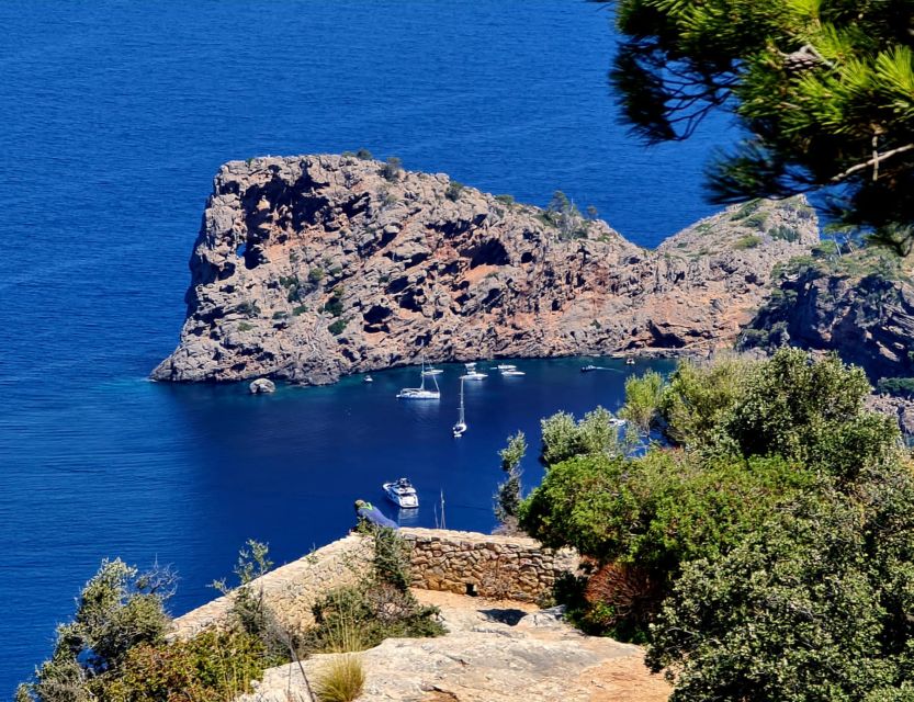 Mallorca: Day Trip to Hidden Gems of Tramuntana with Lunch - A family olive oil mill near Sóller