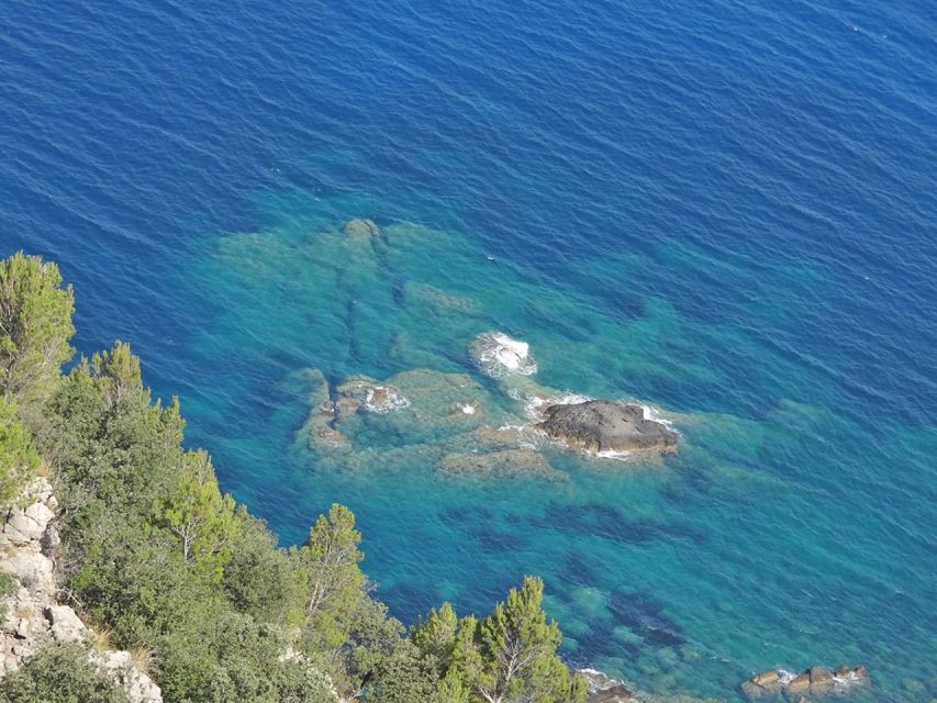 Mallorca: Day Trip to Hidden Gems of Tramuntana with Lunch - Is $147 a fair price?