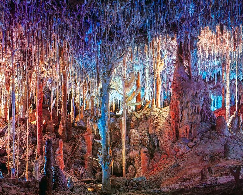 Mallorca: Dinosaurland and Caves of Hams Combined Ticket - Two Mallorca attractions, one easy family outing