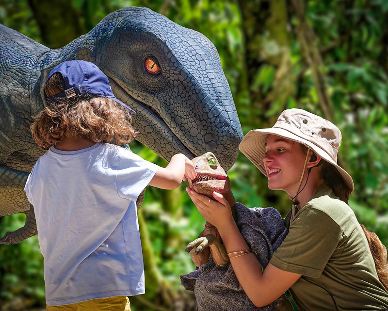 Mallorca: Dinosaurland and Caves of Hams Combined Ticket - The raptor show and a practical lunch break