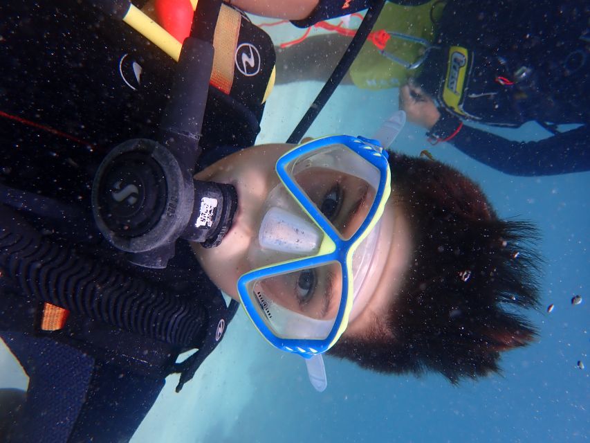 Mallorca: Discover Scuba Diving for Beginners - What the PADI certificate does and does not mean
