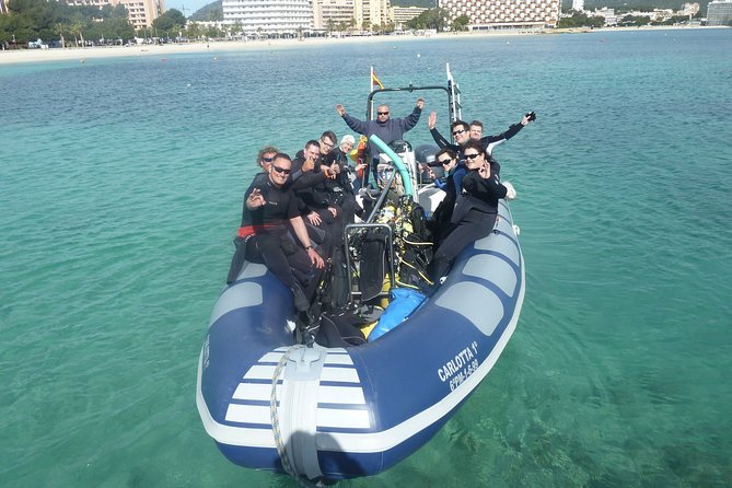 Mallorca: Discover Scuba Diving from the boat - Key points to know before you book