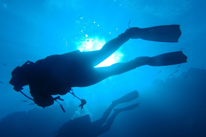 Mallorca: Discover Scuba Diving from the boat - Second water session: up to 12 meters