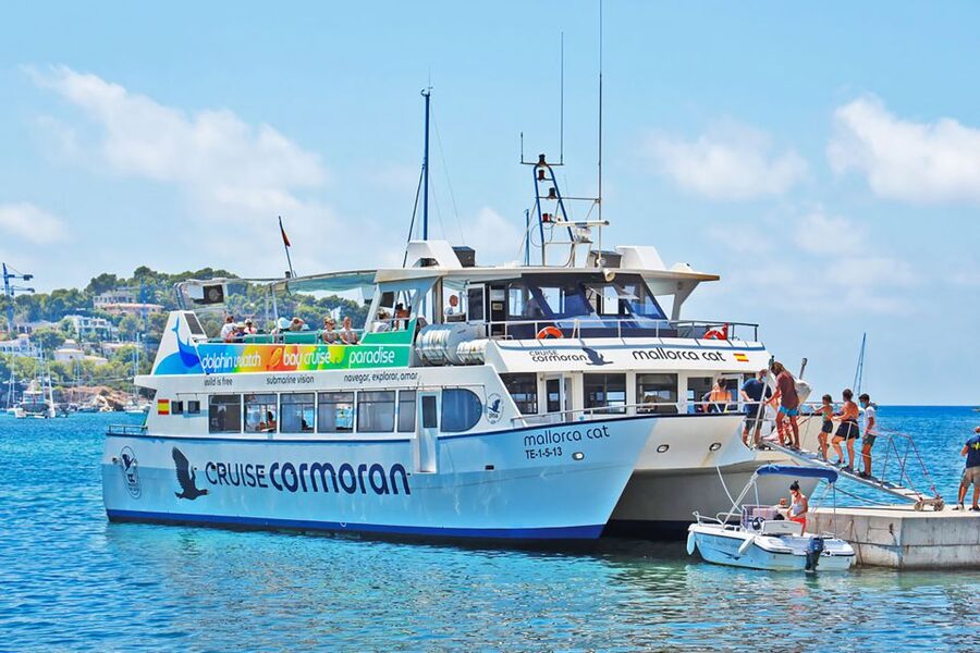 Mallorca: Dolphin Watching Cruise - Key things to know before you book