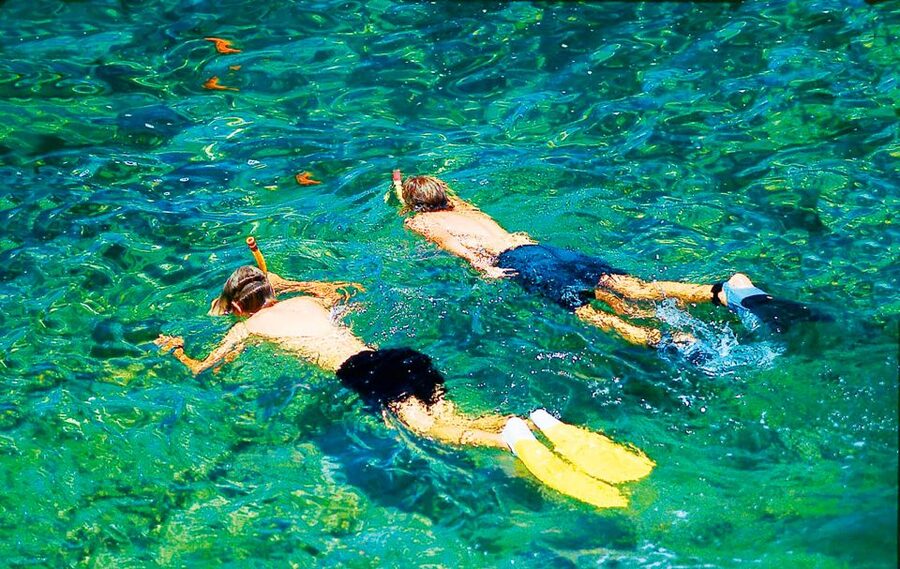 Mallorca: Dolphin Watching Cruise - Life onboard between sightings