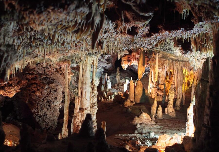 Mallorca: Drach and Hams Caves, and Porto Cristo Day Tour - Who will enjoy this day most?