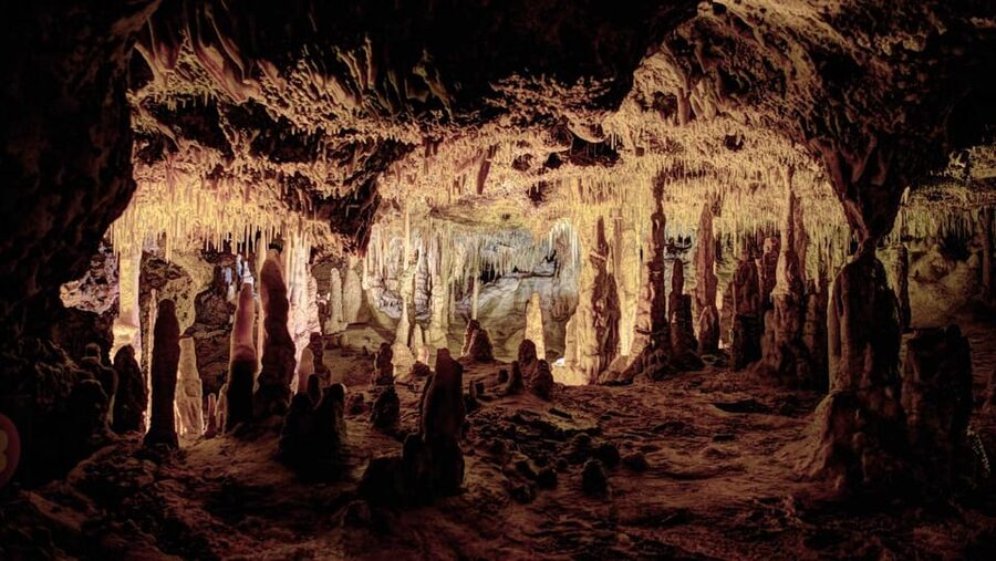 Mallorca: Drach Caves, Lake Martel, & Pearl Factory Day Trip - The schedule can feel tight