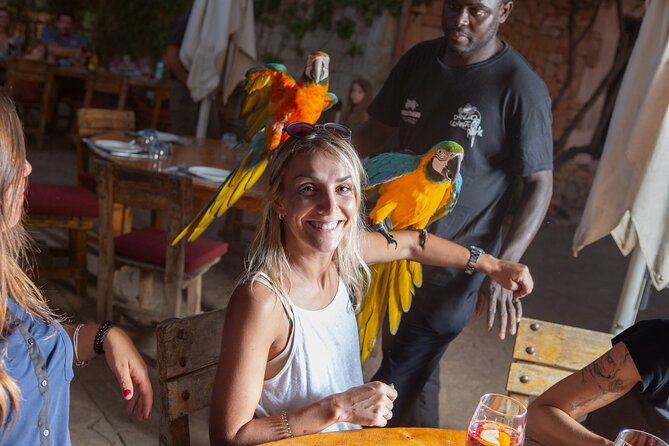 Mallorca Evening Tour: Horseback Riding, Dinner and Dance - Meeting the animals at Rancho Grande Park
