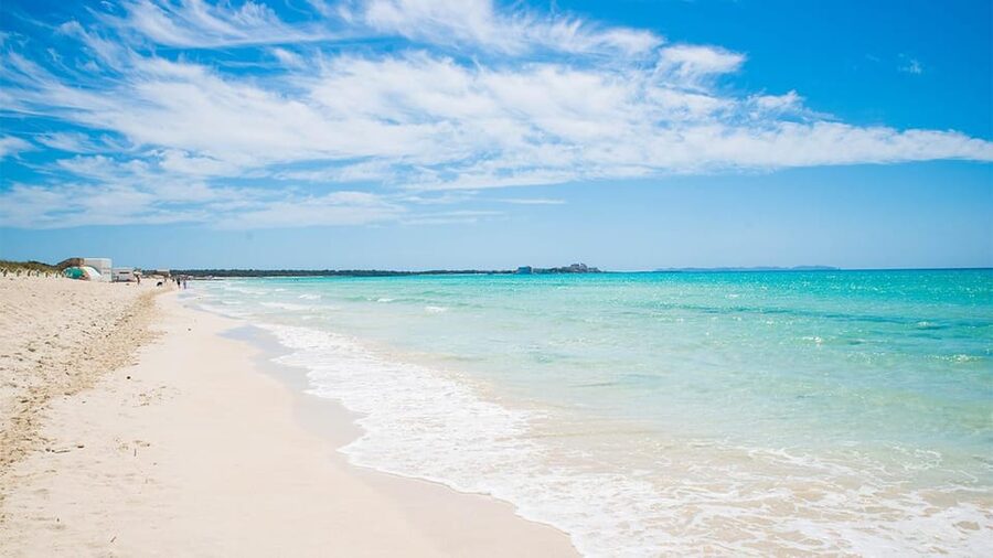 Mallorca Experinence: Es Trenc con Paddlesurf y Snorkel - Bring lunch, water, and sensible beach gear