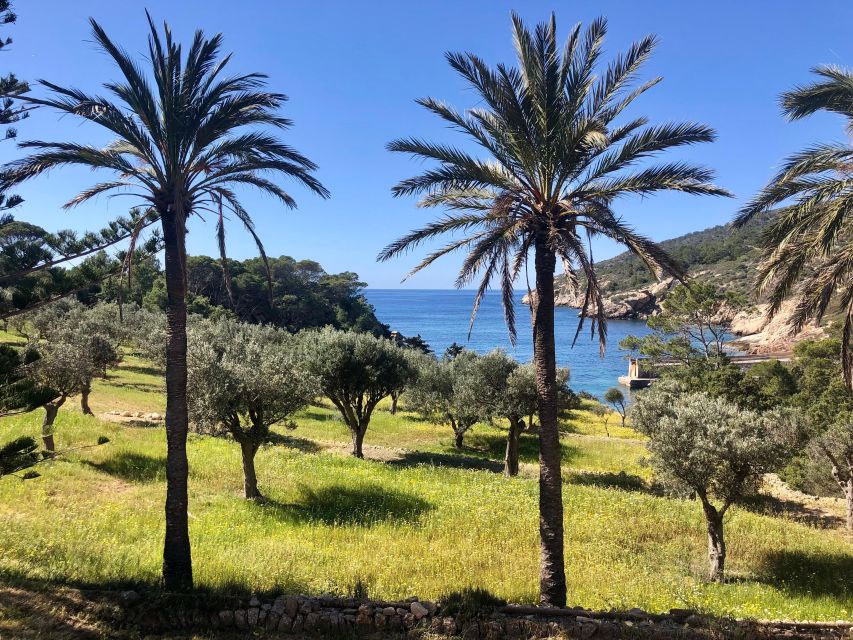 Mallorca: Explore the Island Dragonera with the kayak - Key points to know before booking