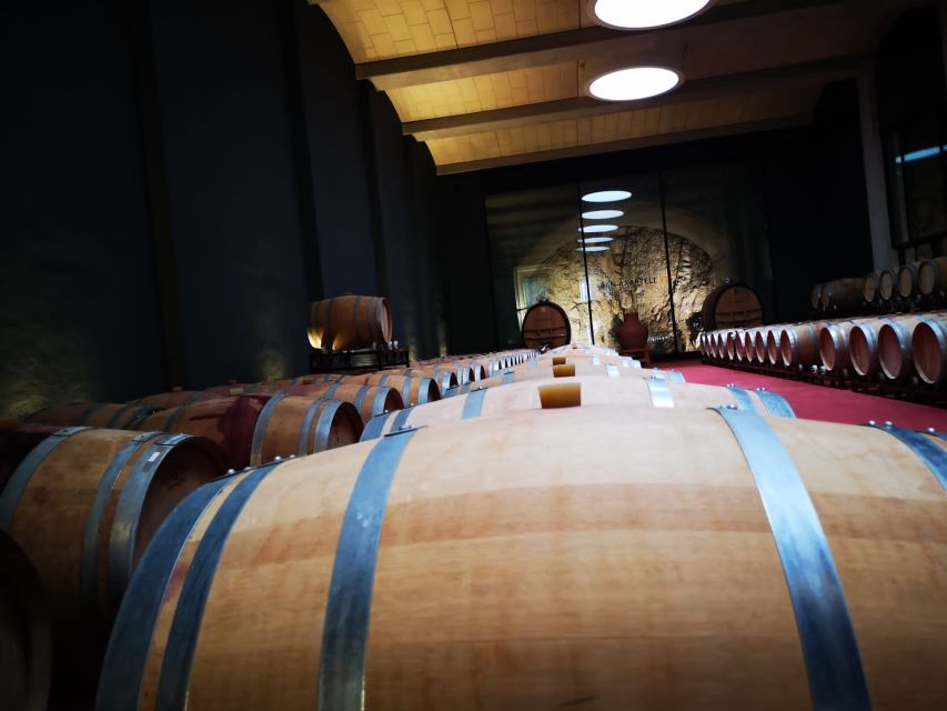 Mallorca: Full-Day Winery Small Group Tour - Leaving Palma for Mallorca’s wine country