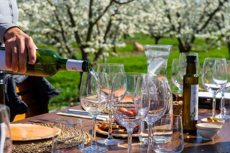Mallorca: Full-Day Winery Small Group Tour - The middle of the day brings local food