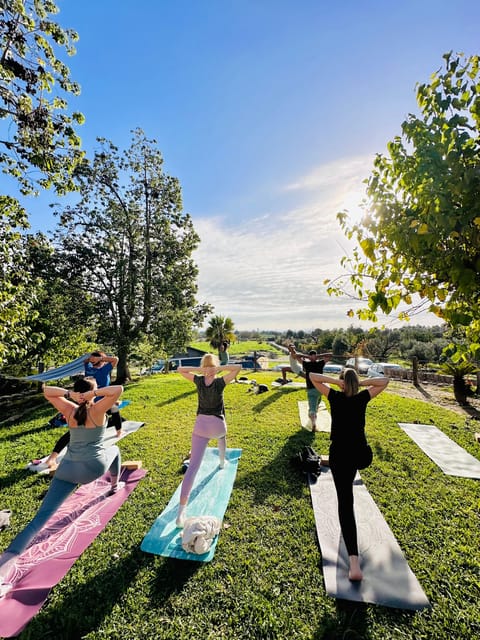 Mallorca: Holistic Private Yoga and Meditation Retreat - Your goals shape the five-hour program