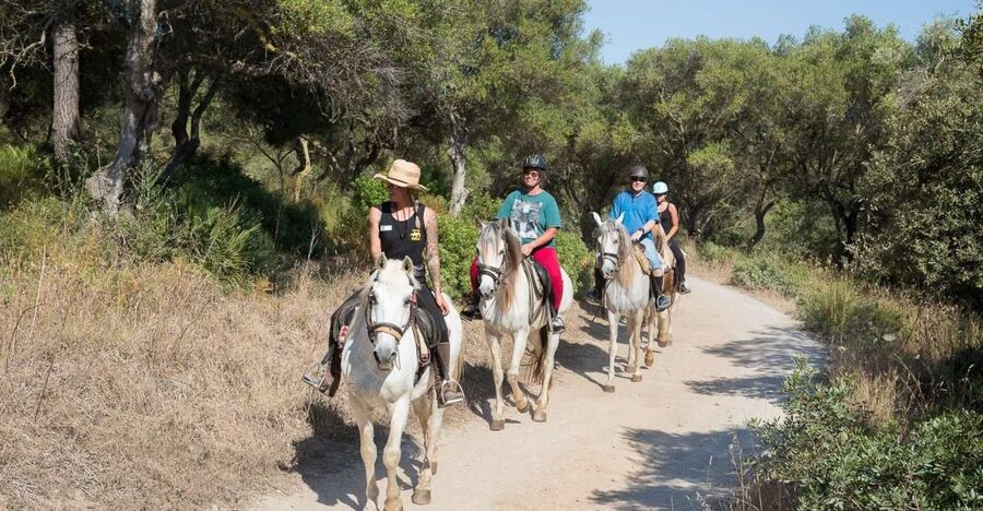 Mallorca: Horseback Riding Excursion and Wine Tasting - A Horse Ride Through Alcudia’s Puig de Sant Martí