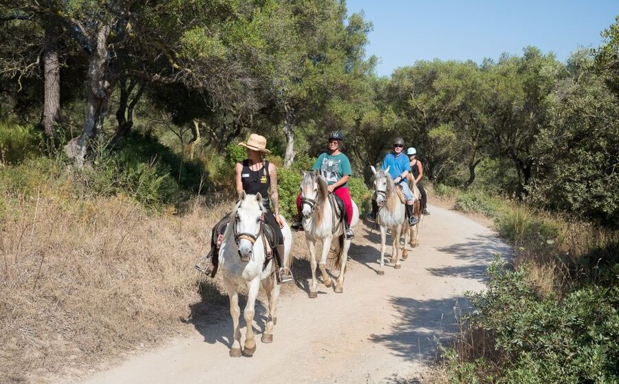 Mallorca: Horseback Riding Excursion and Wine Tasting - Why Beginners Feel at Ease