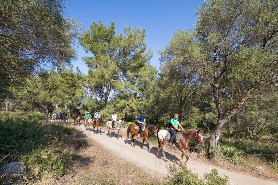 Mallorca: Horseback Riding Excursion and Wine Tasting - Miguel and Sally Make the Tasting Personal