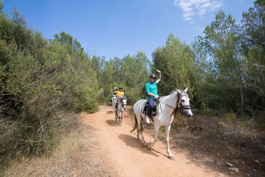 Mallorca: Horseback Riding Excursion and Wine Tasting - Should You Book Ranxo Ses Roques?