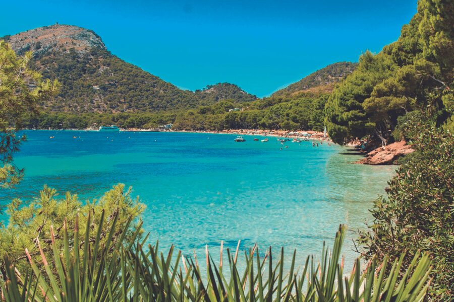 Mallorca: Instafamous Tour of Palma and North coast - Bellver Castle brings Palma into view