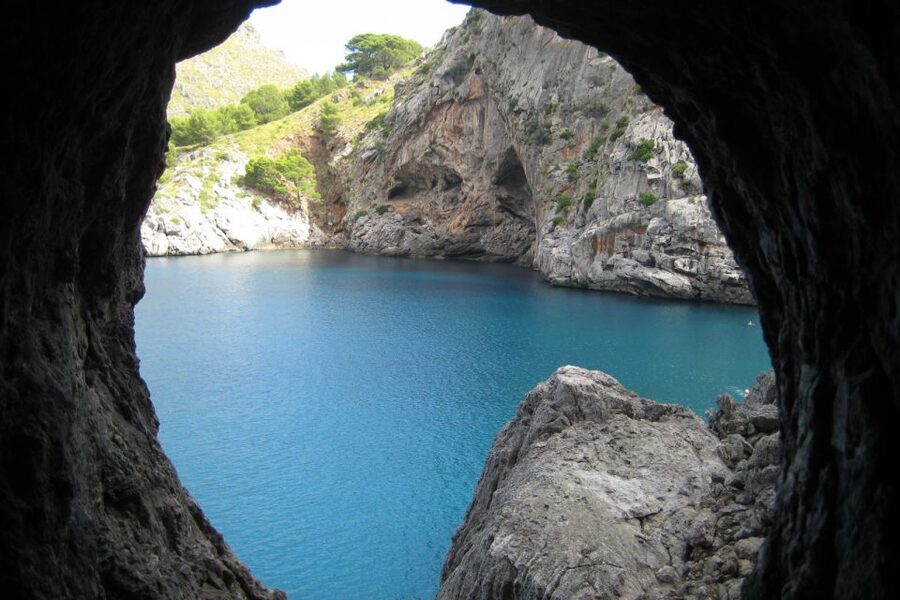 Mallorca: Island Tour with Boat, Train, and Hotel Transfer - Why this is one of Mallorca’s most unusual day trips