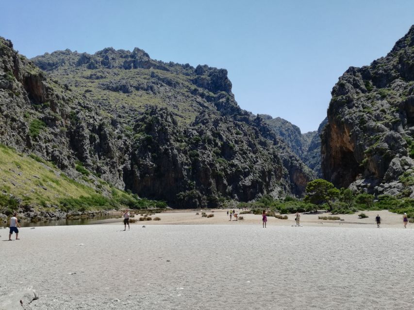 Mallorca: Island Tour with Boat, Train, and Hotel Transfer - The vintage train from Palma to Sóller