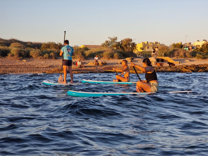 Mallorca: Kayak Sunset Tour from Ca'n Pastilla Beach - A drink and tapa at the Surf Bar
