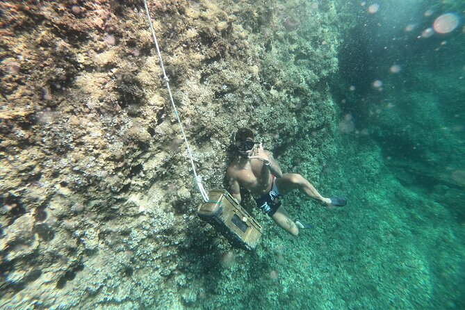Mallorca: Kayaking, Sea Cave, Cliff Jumping & Snorkel Tour - A sea-cave adventure near Alcúdia