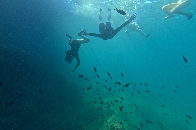Mallorca: Kayaking, Sea Cave, Cliff Jumping & Snorkel Tour - The coastal walk and optional cliff jump