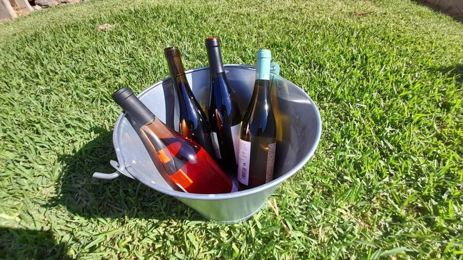 Mallorca: Local Wines & Foods Tasting - Pickup from Alcudia and Playa de Muro