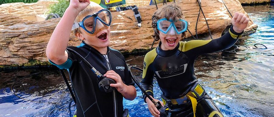 Mallorca: Palma Aquarium Entry Ticket w/ Optional 3D Cinema - Key points to know before you go