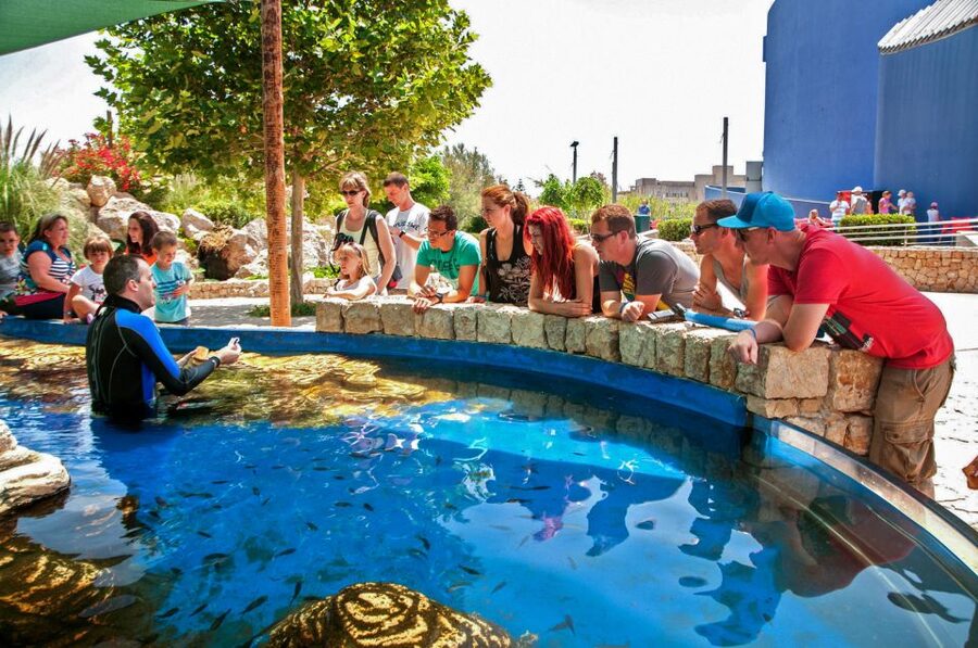 Mallorca: Palma Aquarium Entry Ticket w/ Optional 3D Cinema - Who should book Palma Aquarium?