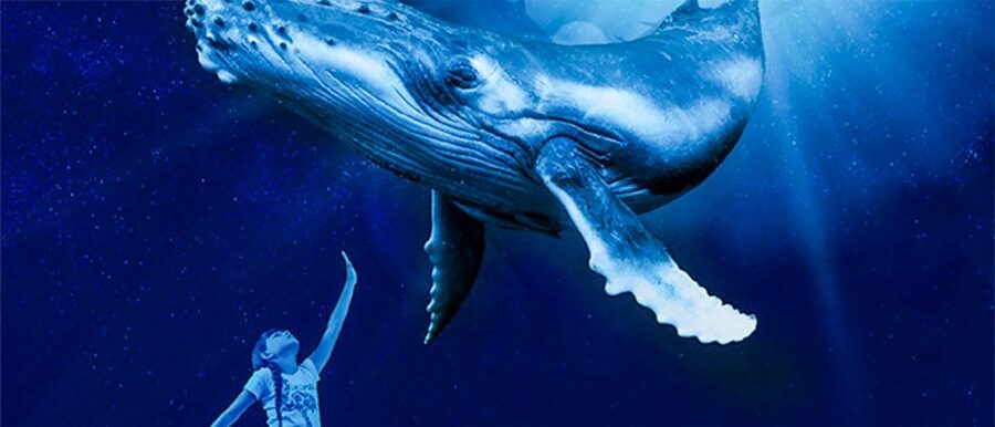 Mallorca: Palma Aquarium Entry Ticket w/ Optional 3D Cinema - Why Palma Aquarium is more than a fish tank visit