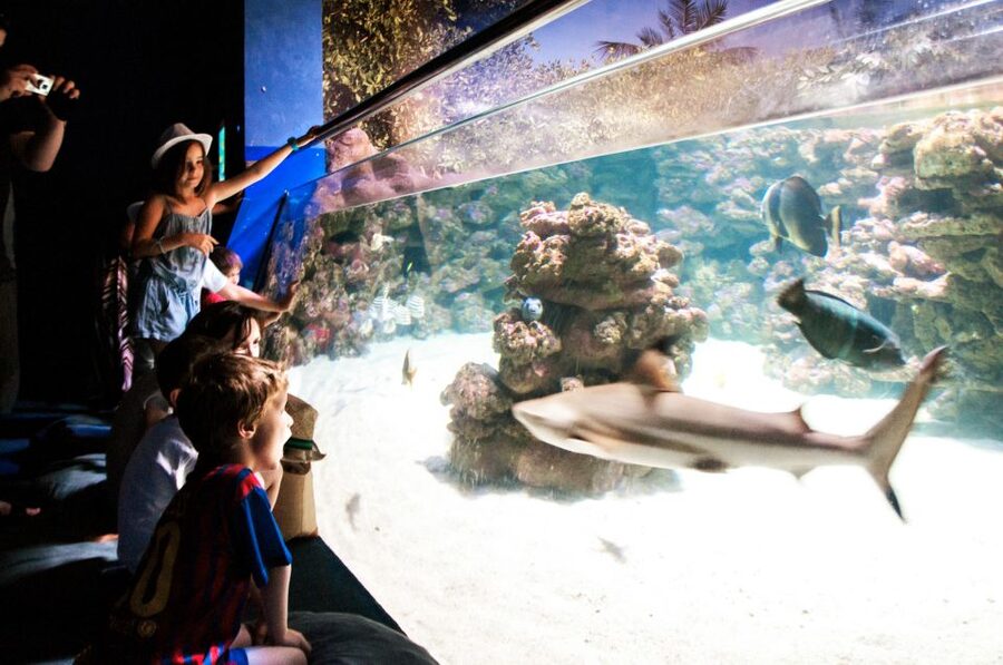 Mallorca: Palma Aquarium Entry Ticket w/ Optional 3D Cinema - Why families find it easy to manage