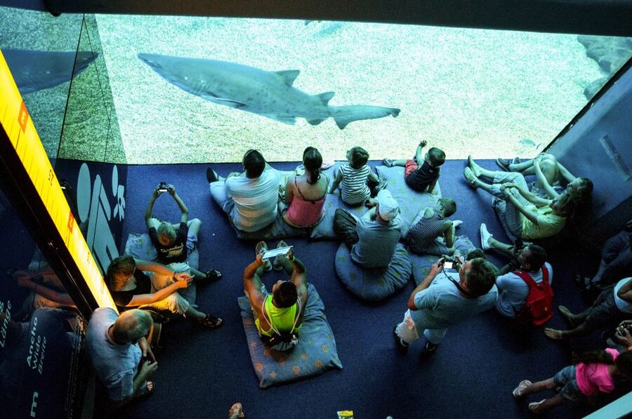 Mallorca: Palma Aquarium Entry Ticket w/ Optional 3D Cinema - Food, breaks, and the time of year