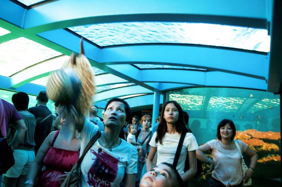 Mallorca: Palma Aquarium Entry Ticket w/ Optional 3D Cinema - Is the $39 ticket good value?