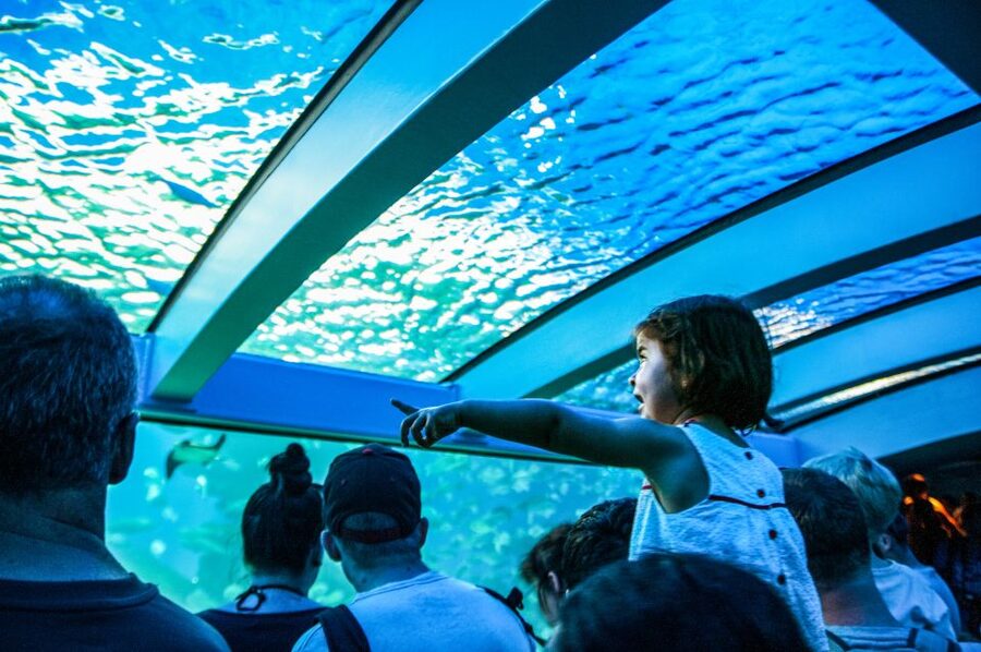 Mallorca: Palma Aquarium Entry Ticket w/ Optional 3D Cinema - Timing your visit around opening hours