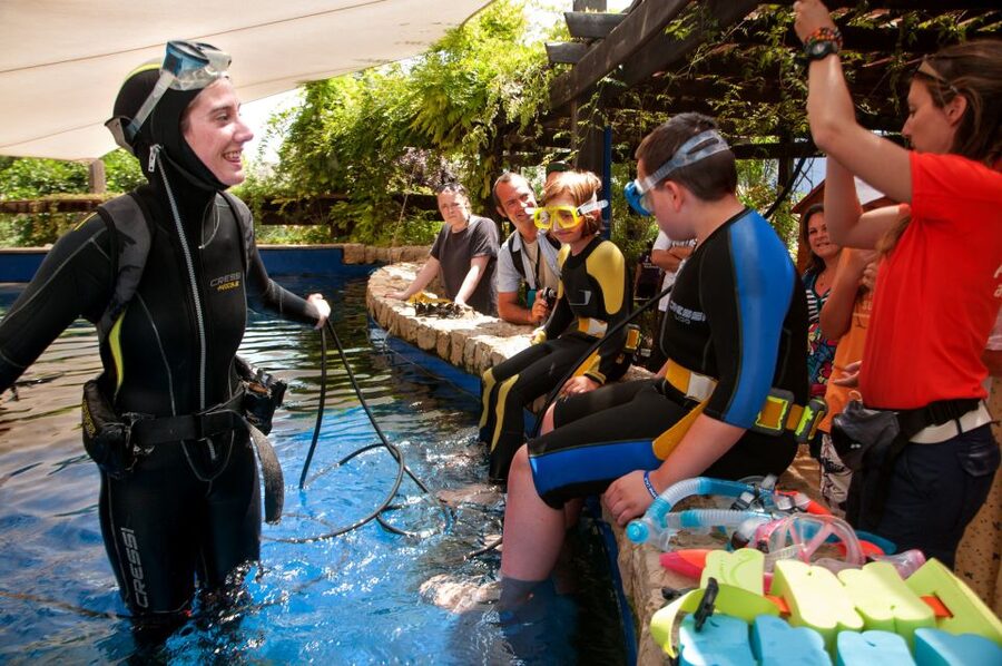 Mallorca: Palma Aquarium Tickets with Transfer - Key points to know before you book