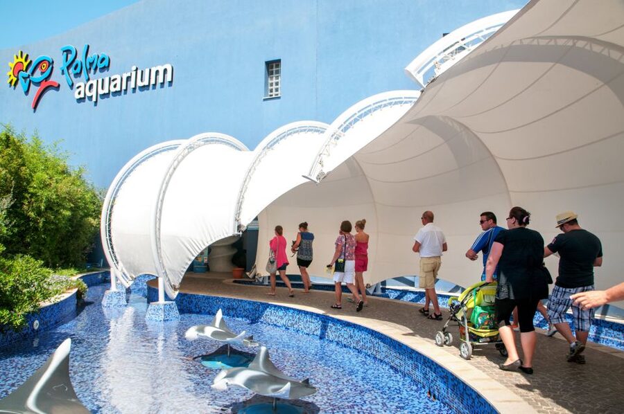 Mallorca: Palma Aquarium Tickets with Transfer - FAQ