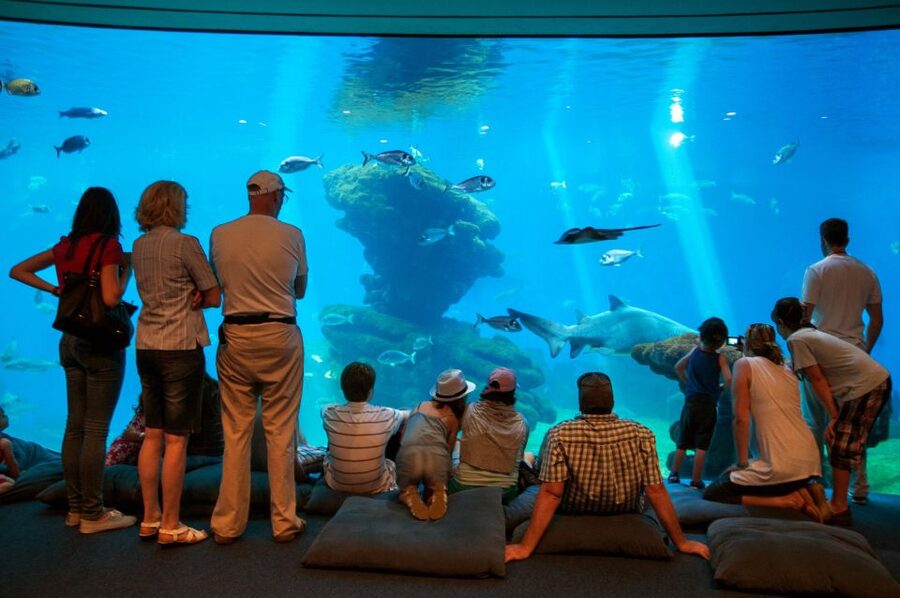 Mallorca: Palma Aquarium Tickets with Transfer - Why the Big Blue carries the day