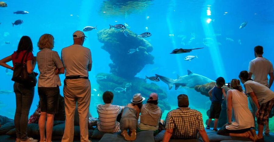 Mallorca: Palma Aquarium Tickets with Transfer - From Old World tanks to the tropical jungle