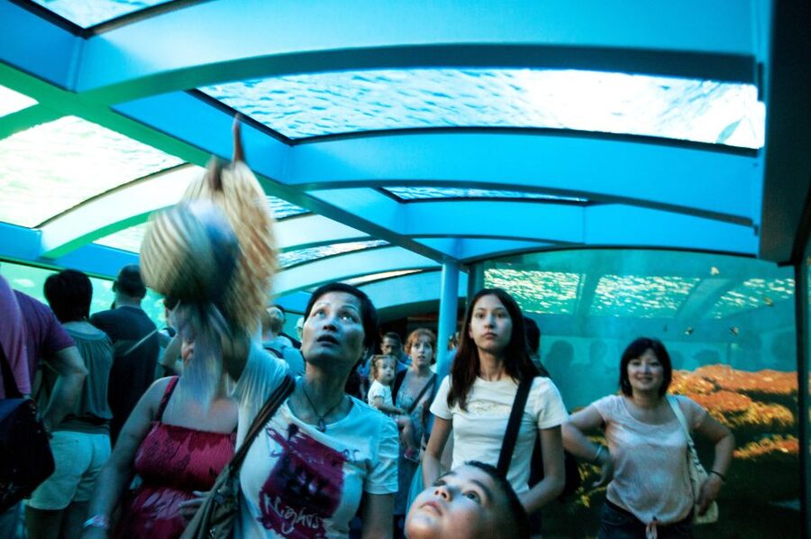 Mallorca: Palma Aquarium Tickets with Transfer - Family extras beyond the aquarium tanks