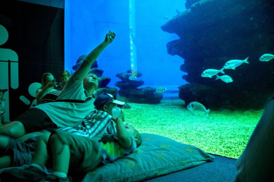 Mallorca: Palma Aquarium Tickets with Transfer - The coach ride from Avinguda de la Platja