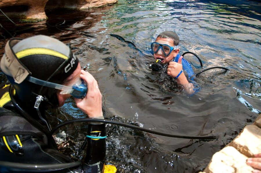 Mallorca: Palma Aquarium Tickets with Transfer - What the $55 price really covers