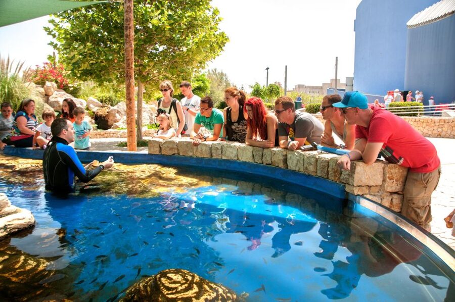 Mallorca: Palma Aquarium Tickets with Transfer - How the day is likely to feel