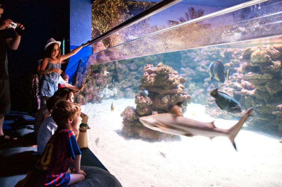 Mallorca: Palma Aquarium Tickets with Transfer - Five hours gives you room to set your own pace