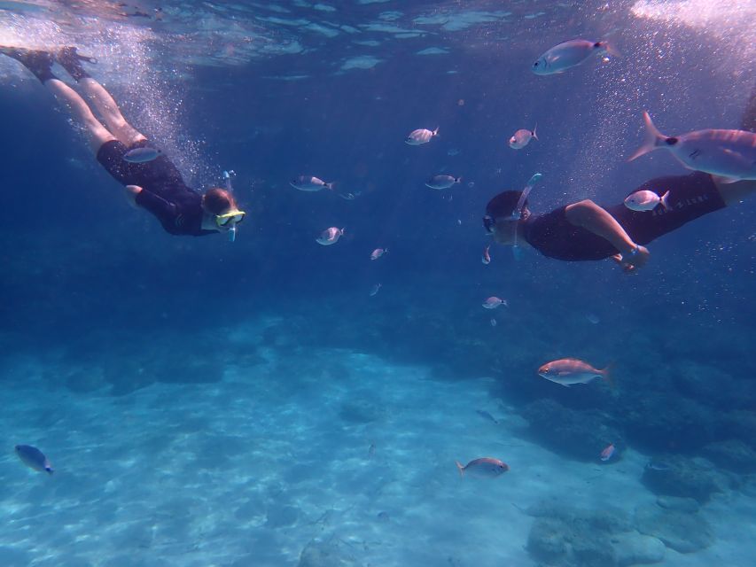 Mallorca: Snorkeling in a Beautiful Nature Reserve - Where the tour may fall short