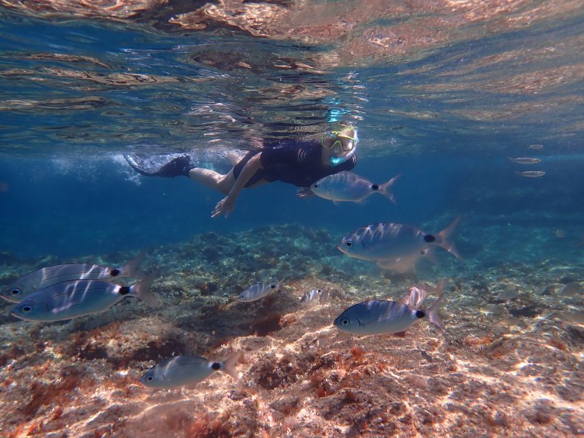 Mallorca: Snorkeling in a Beautiful Nature Reserve - Entering the protected Mediterranean water