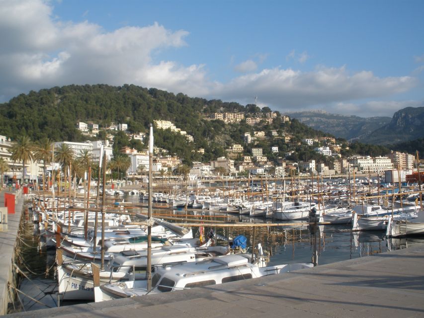 Mallorca: Soller Port and Valldemossa - Should you book the Valldemossa and Sóller Port tour?